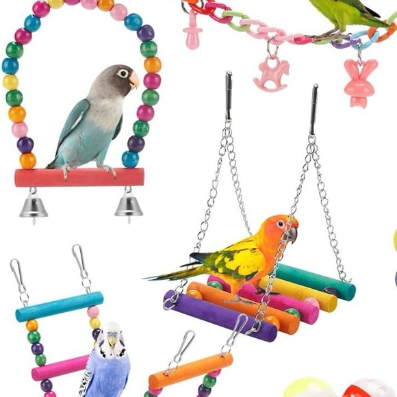 Colorful Bird Toy Set - Picture 7 of 10